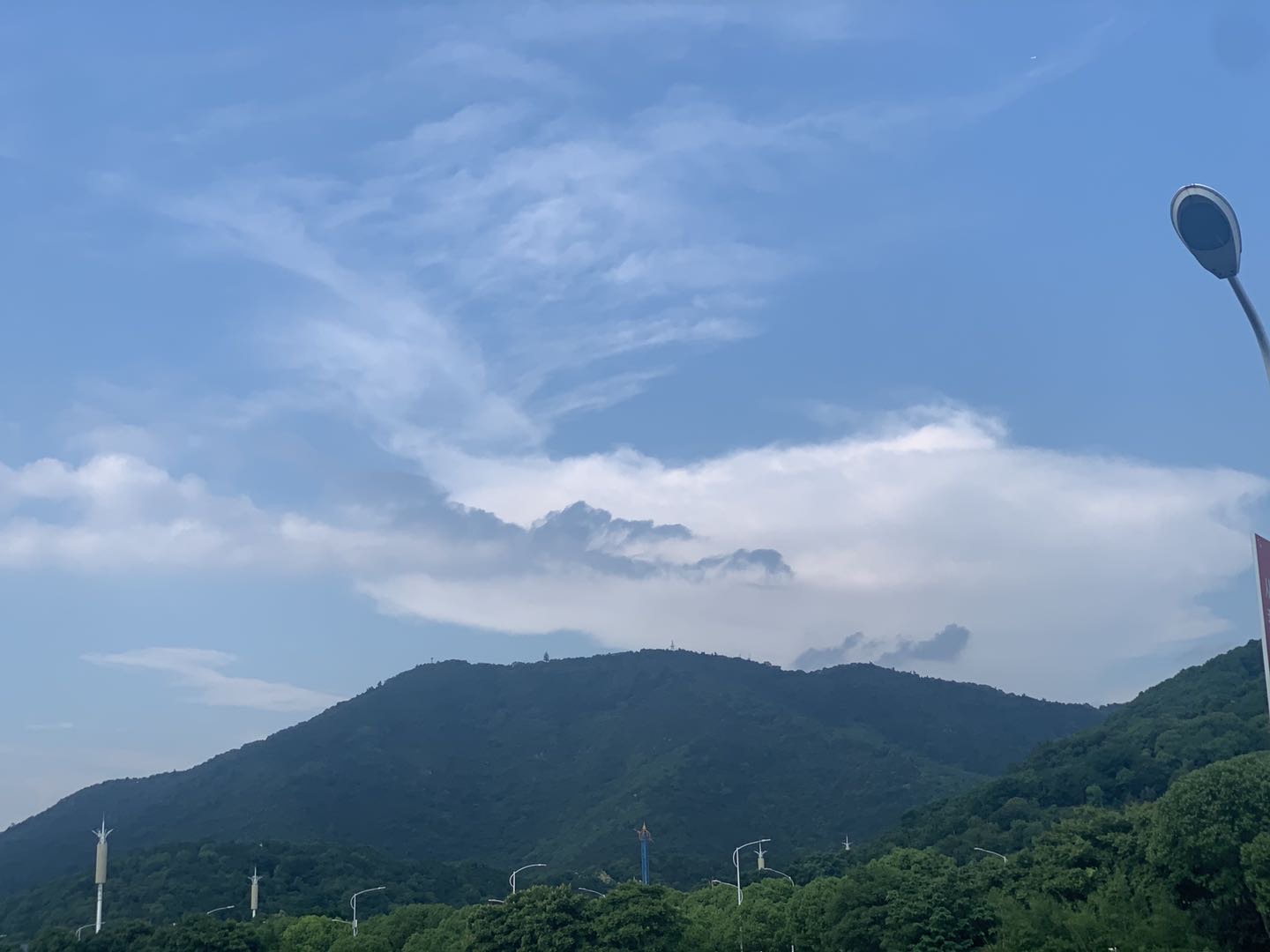 找搭子