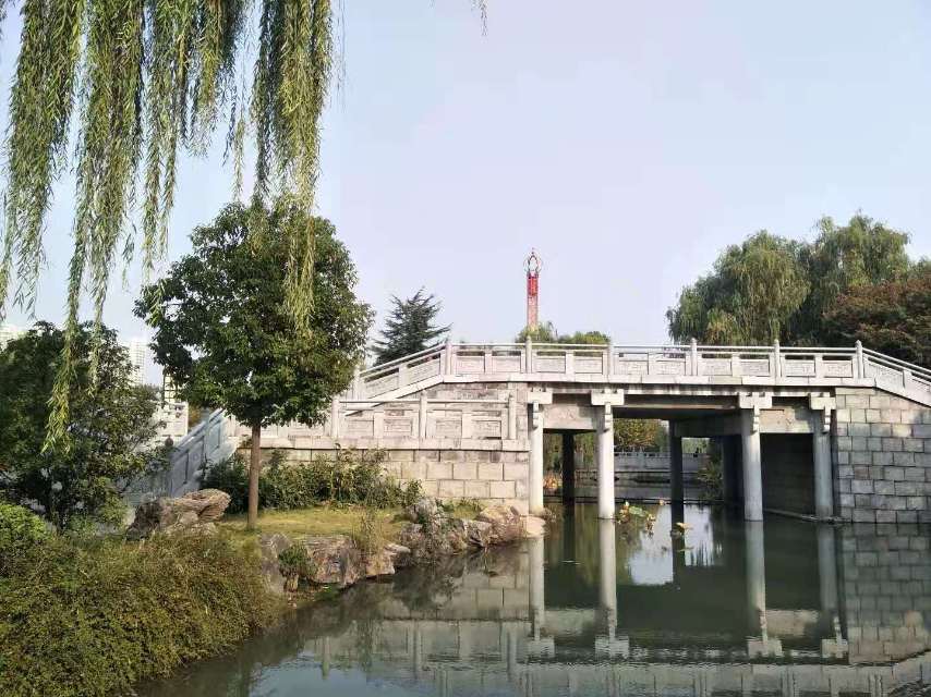 找搭子