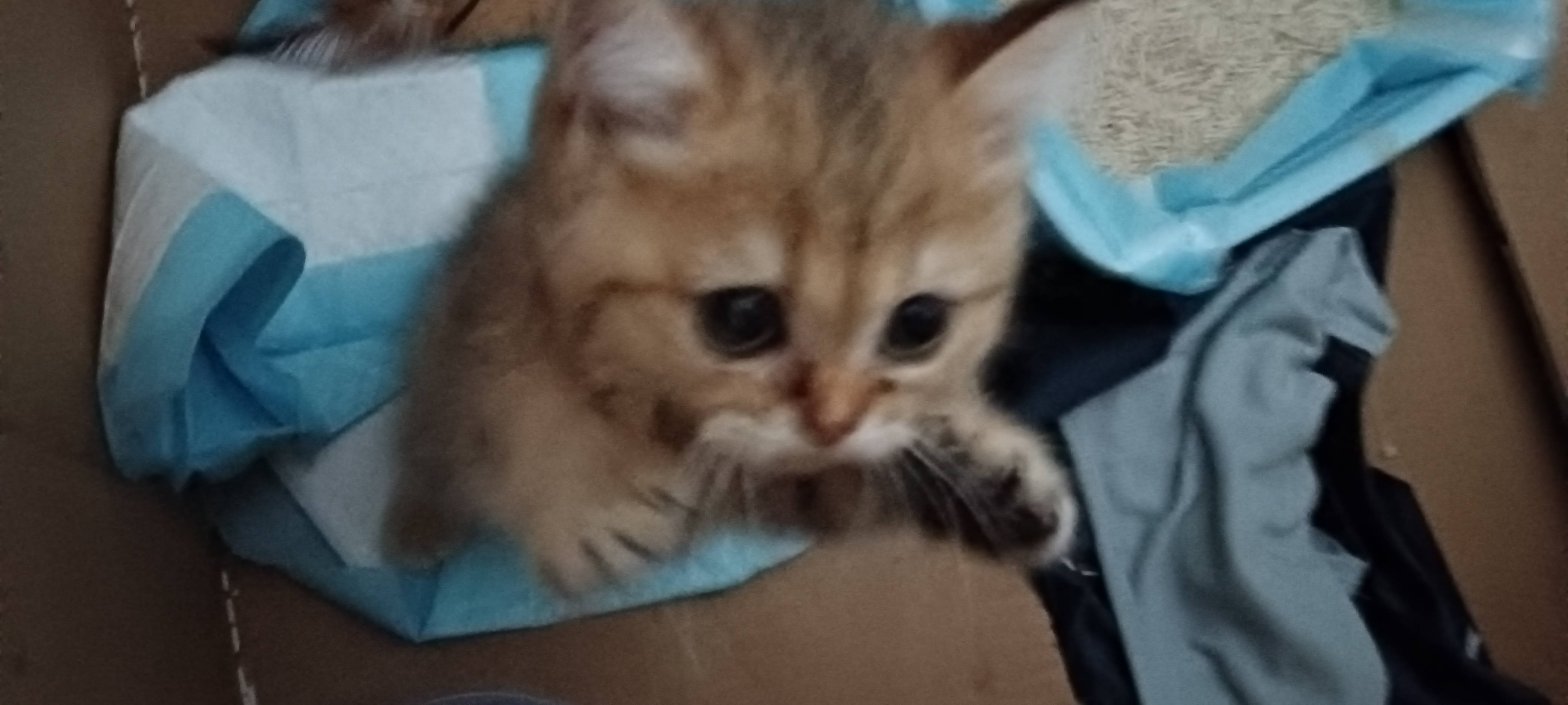 找搭子