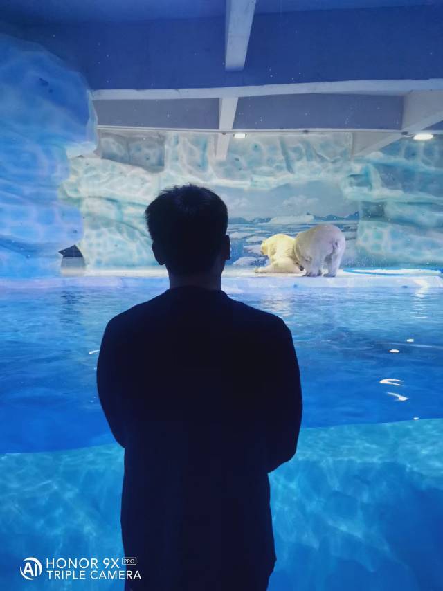 找搭子