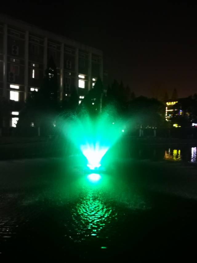 找搭子