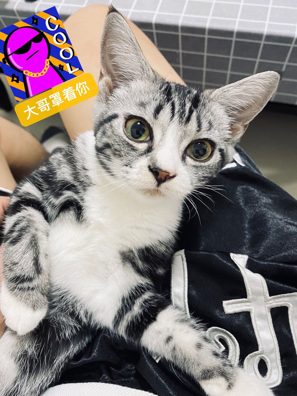找搭子