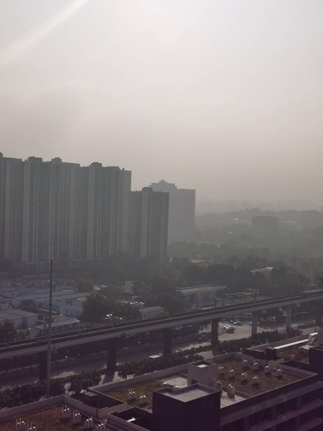 找搭子