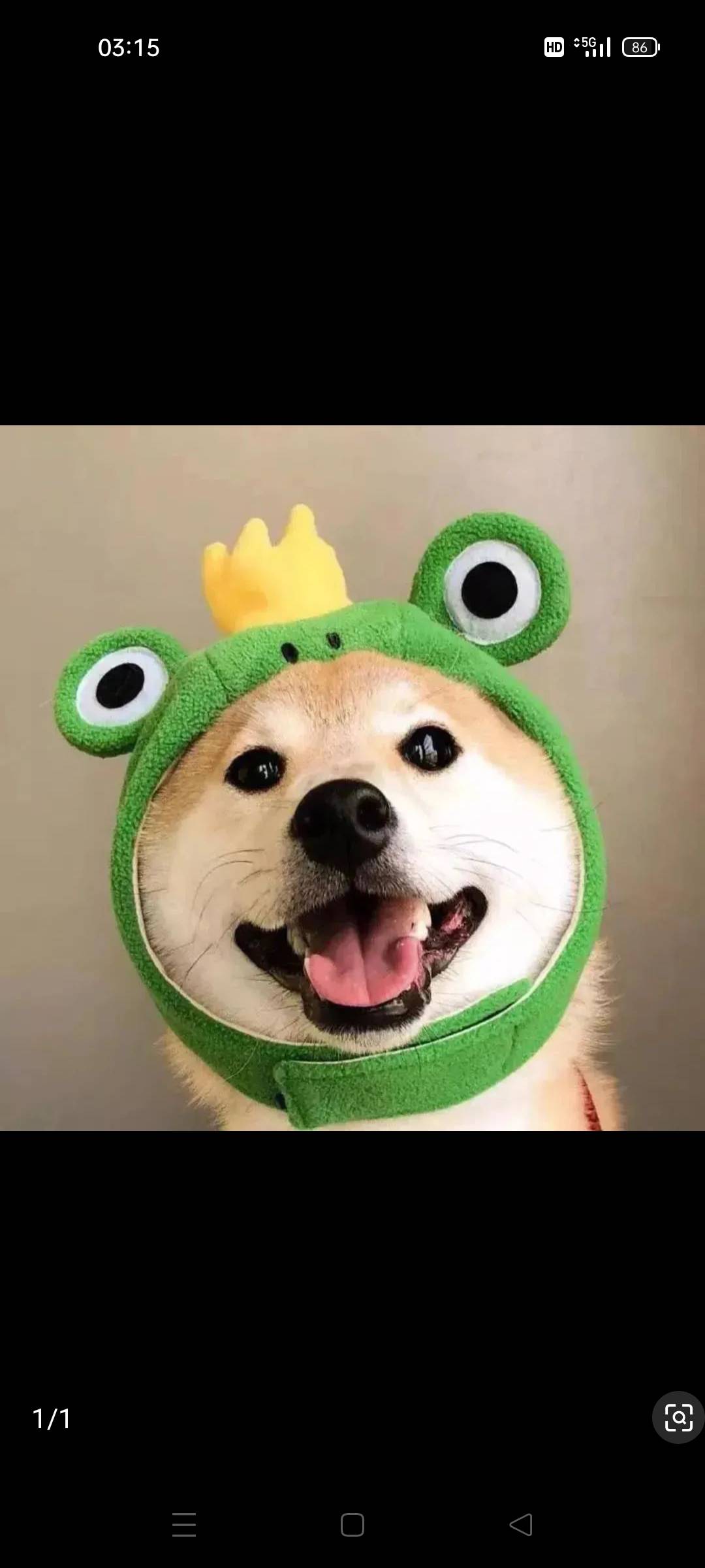 找搭子