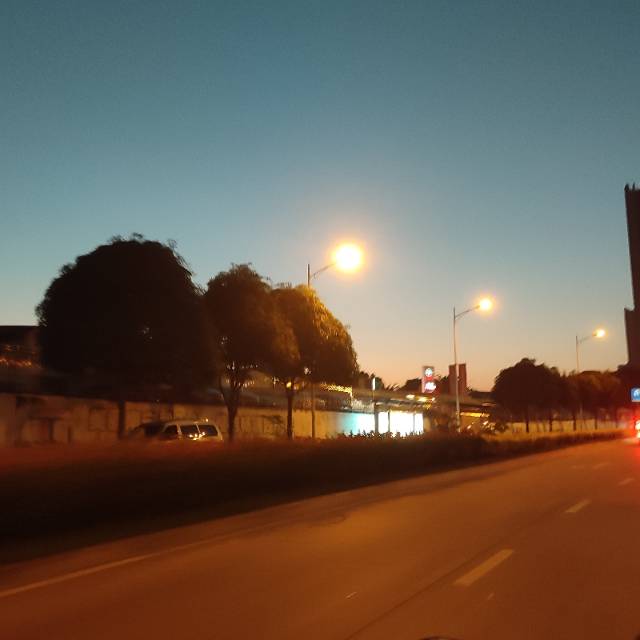 找搭子