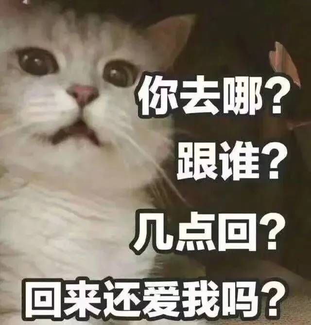 找搭子