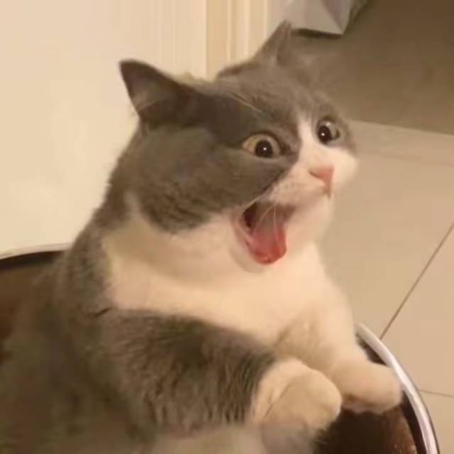 找搭子