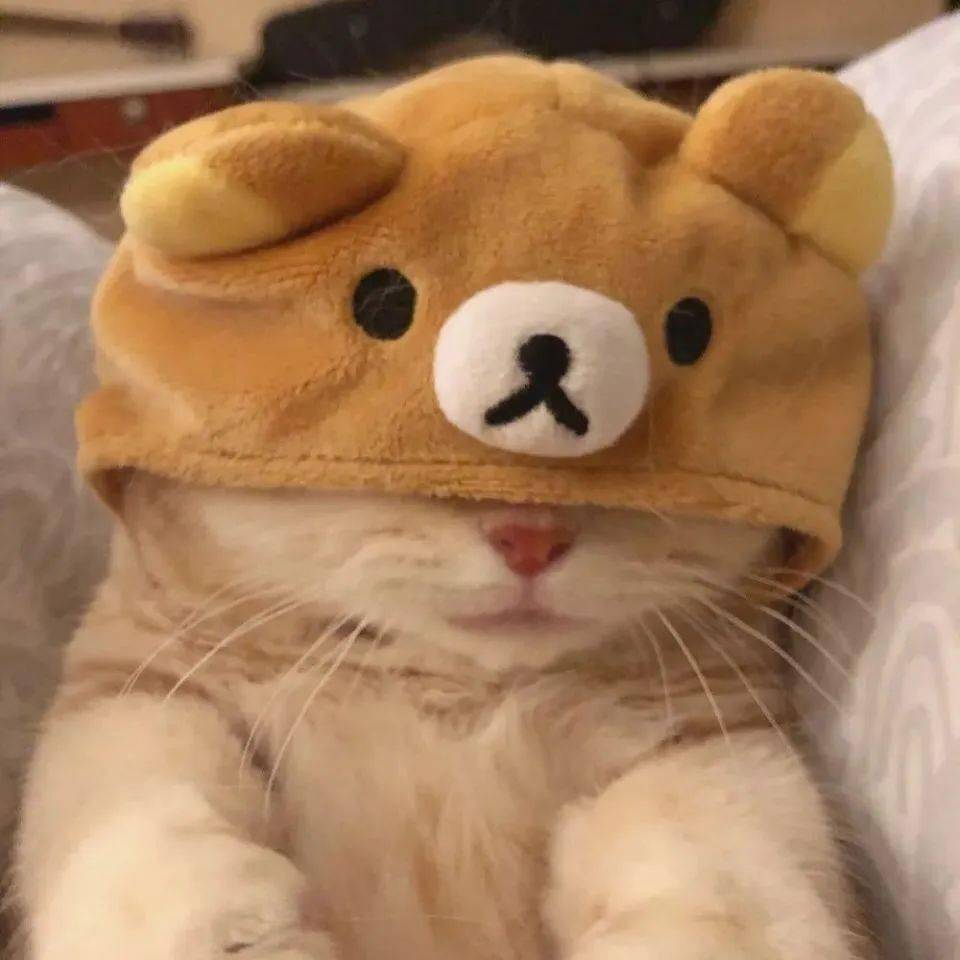 找搭子