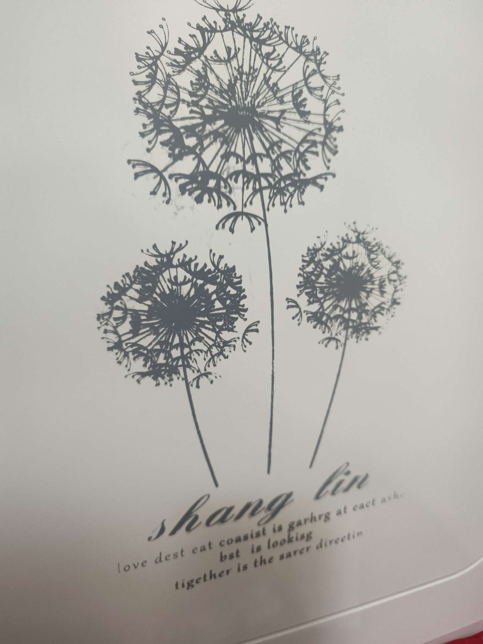 找搭子