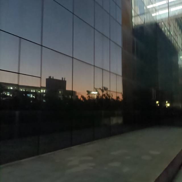 找搭子