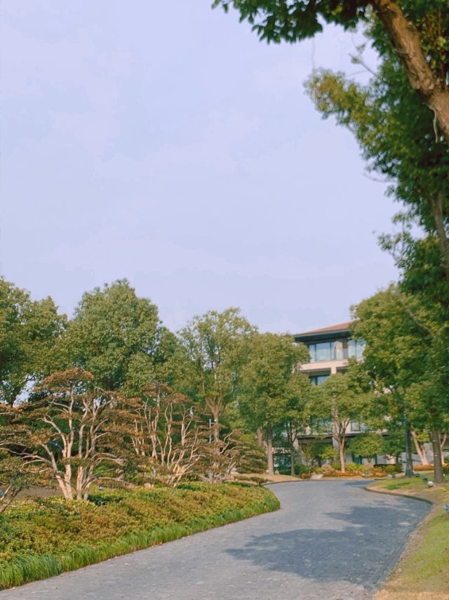 找搭子