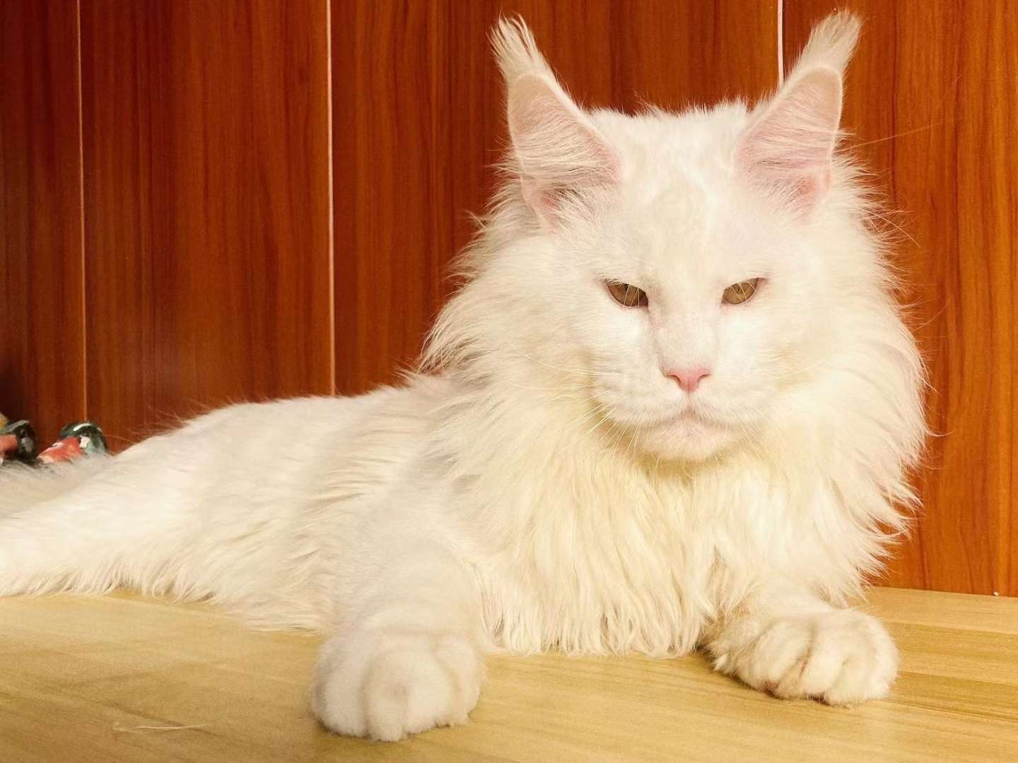 找搭子