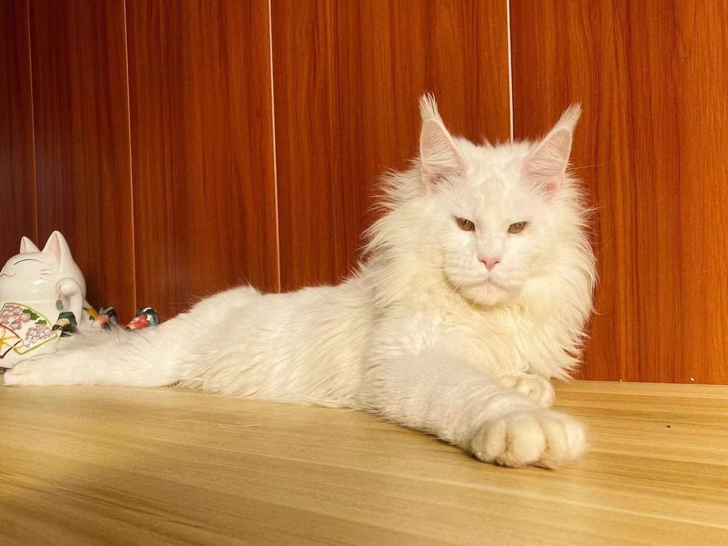 找搭子