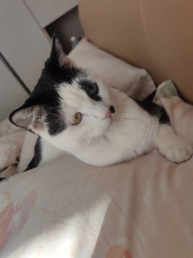 找搭子