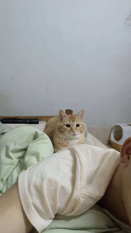 找搭子