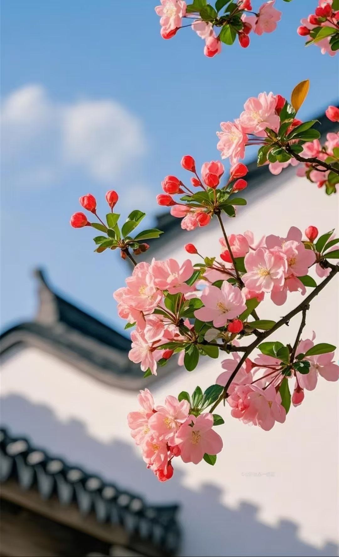 找搭子