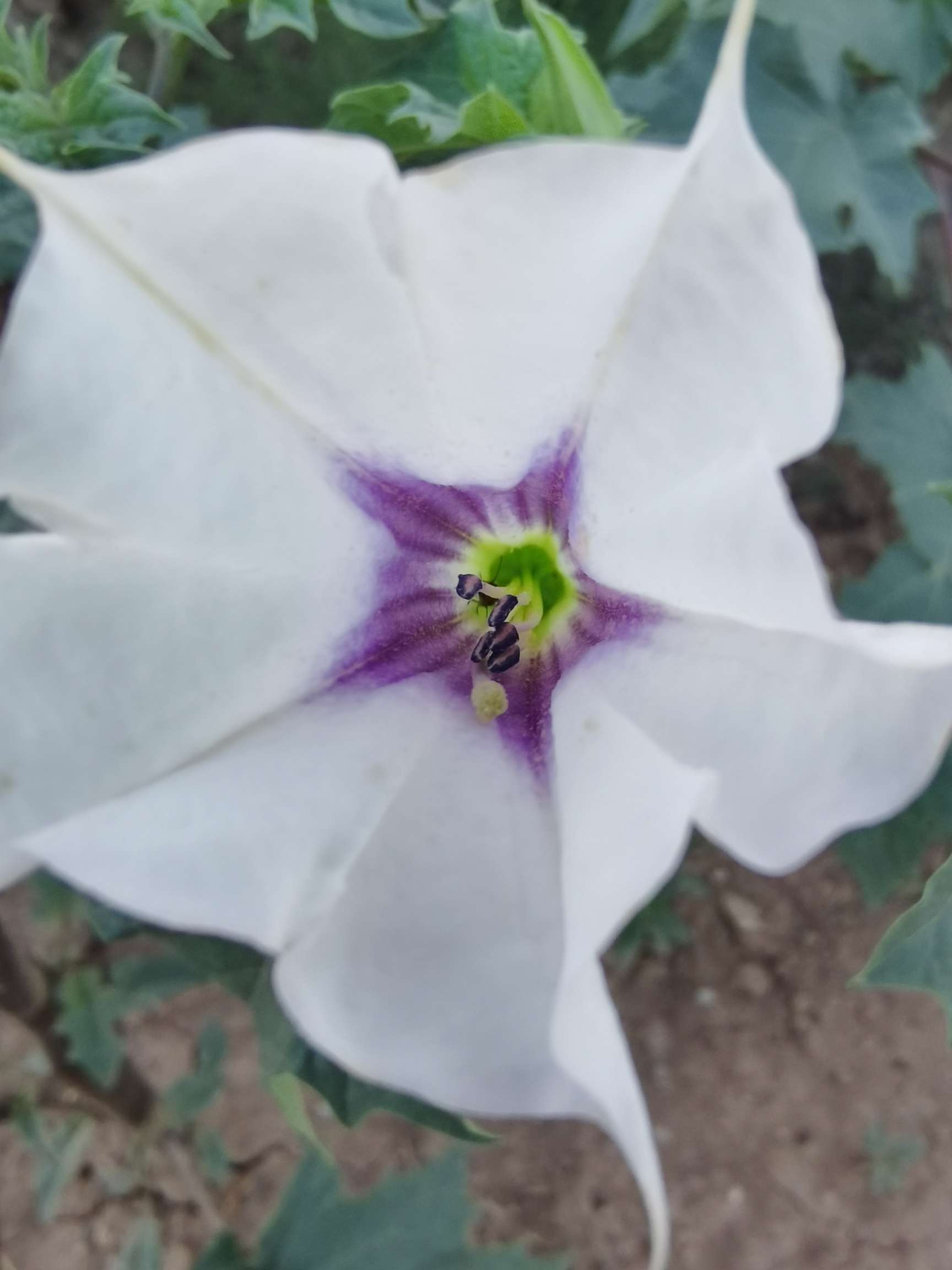 找搭子