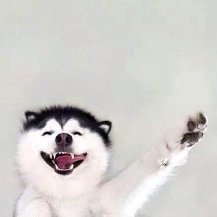 找搭子