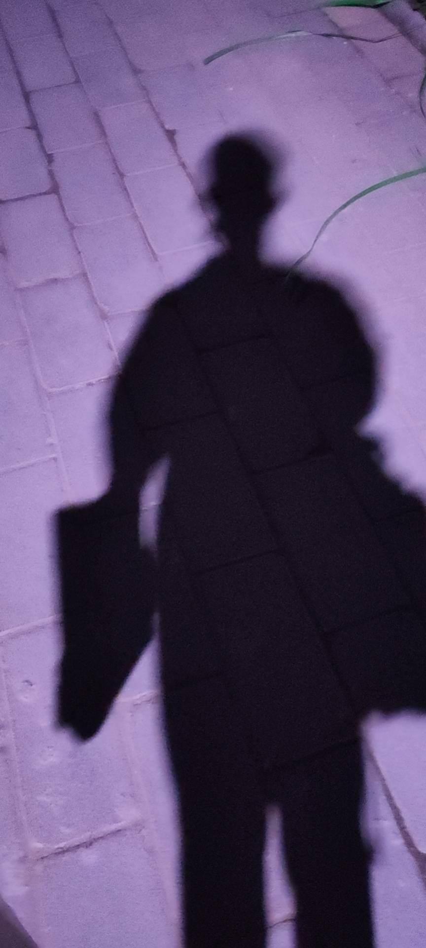 找搭子
