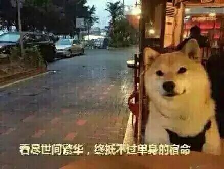 找搭子