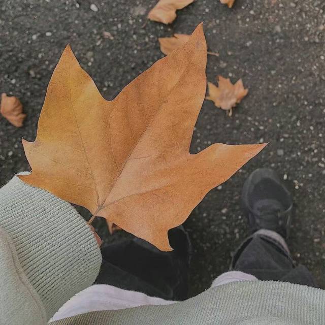 找搭子