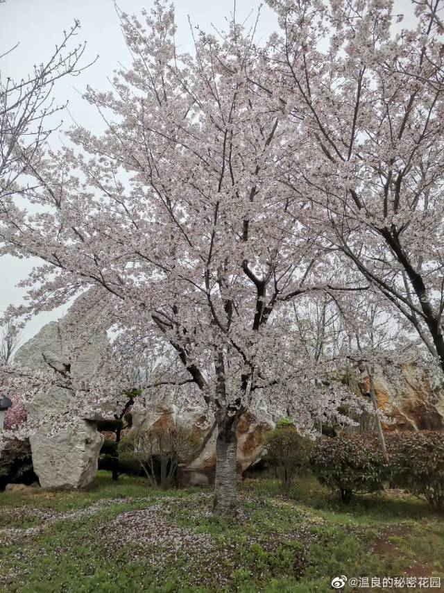 找搭子