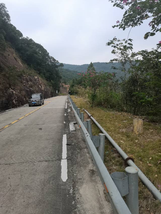 找搭子