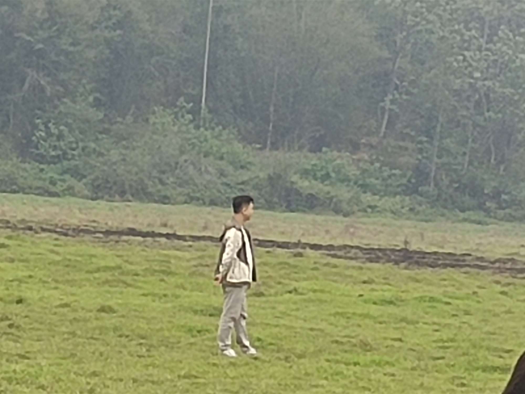 找搭子