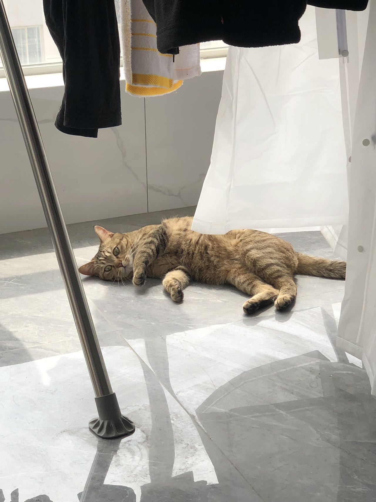 找搭子