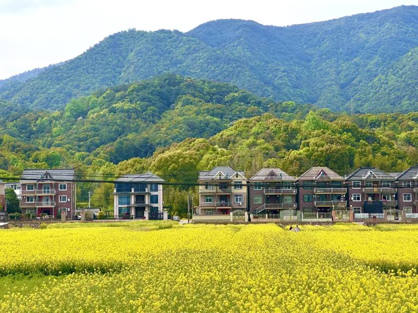 找搭子