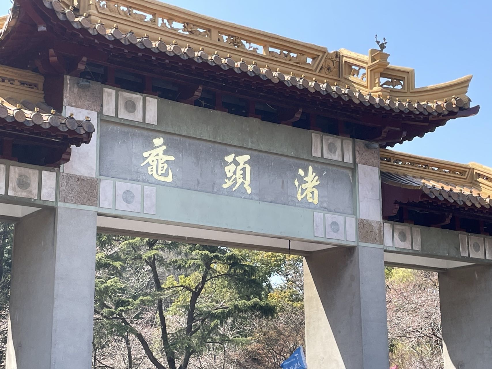 找搭子
