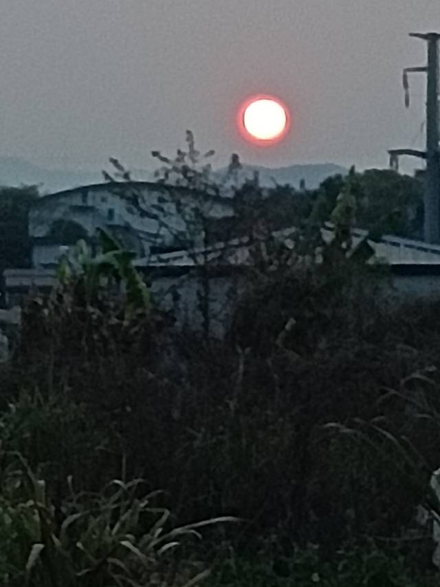 找搭子