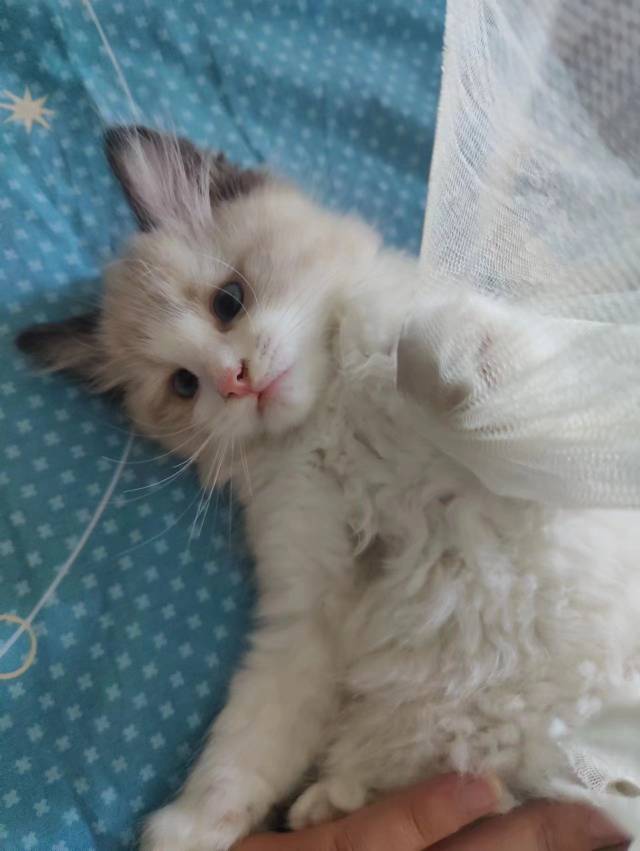 找搭子