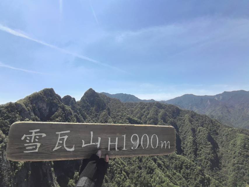 找搭子