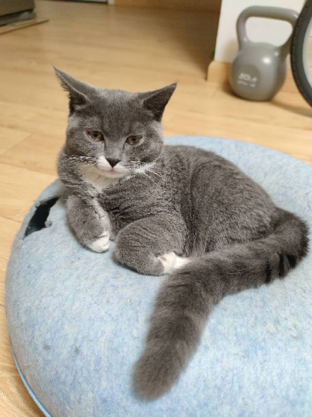 找搭子