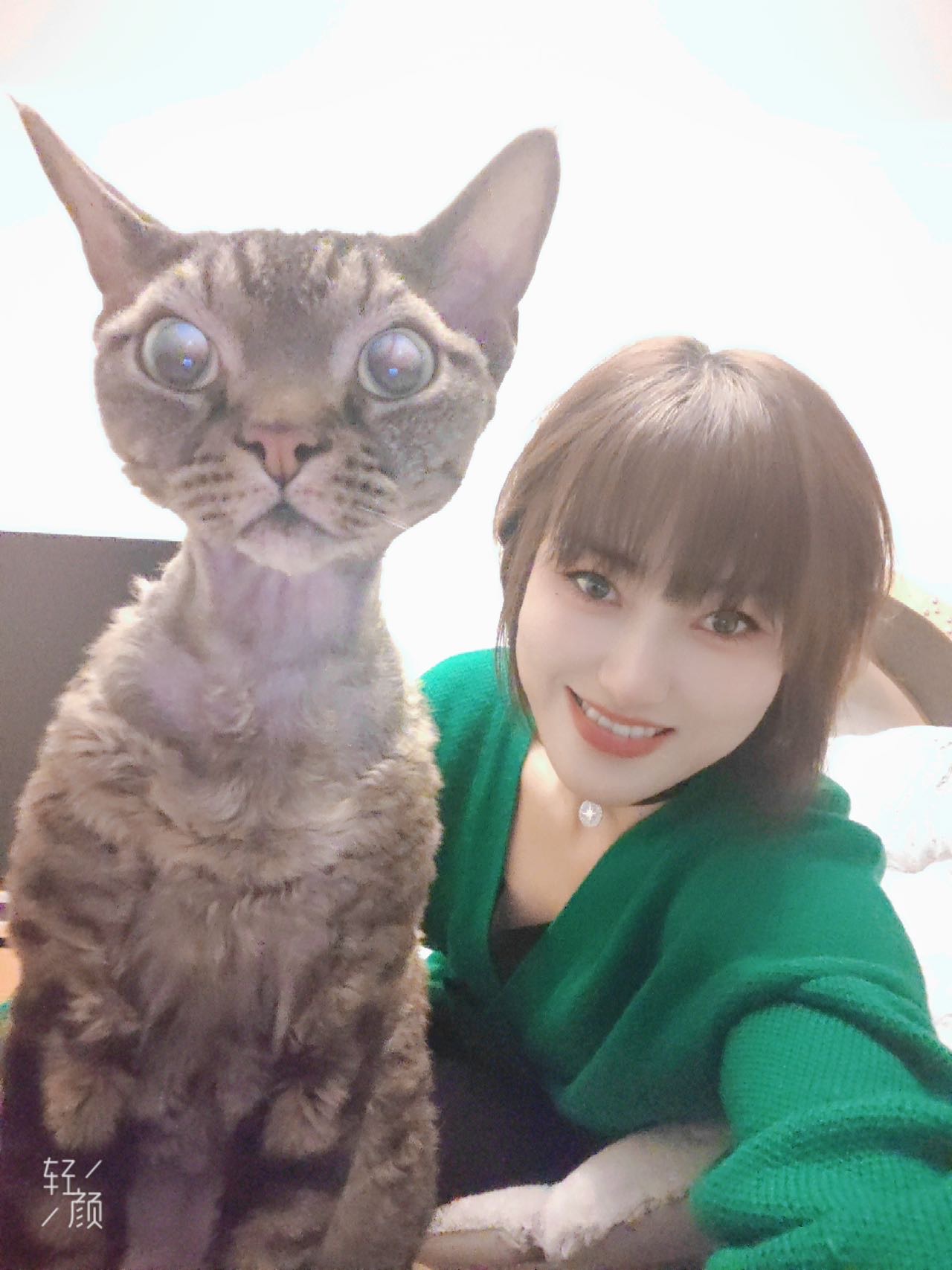 找搭子