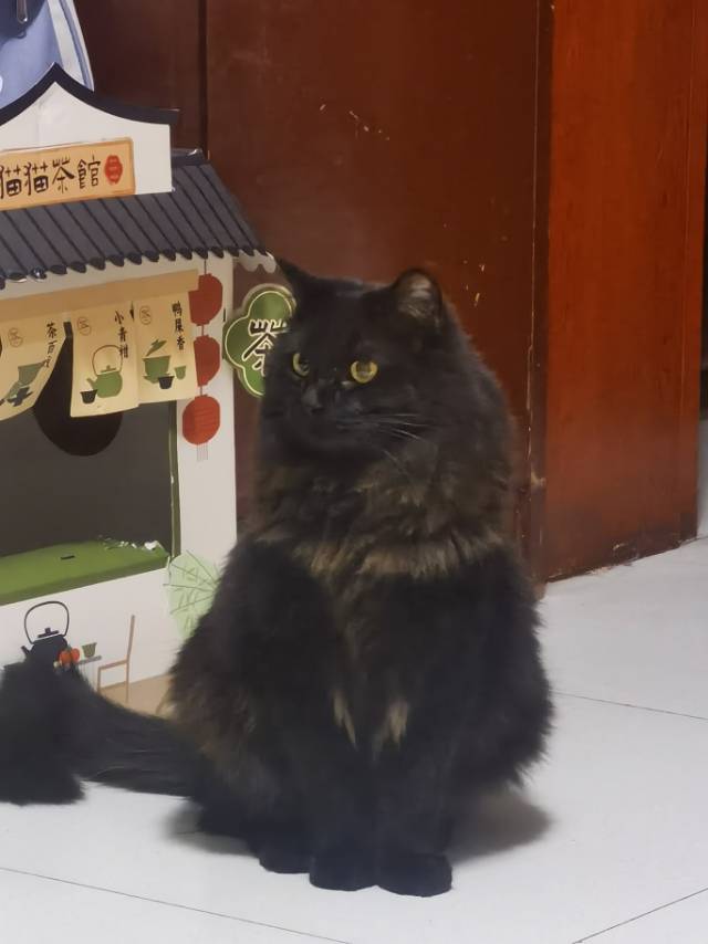 找搭子