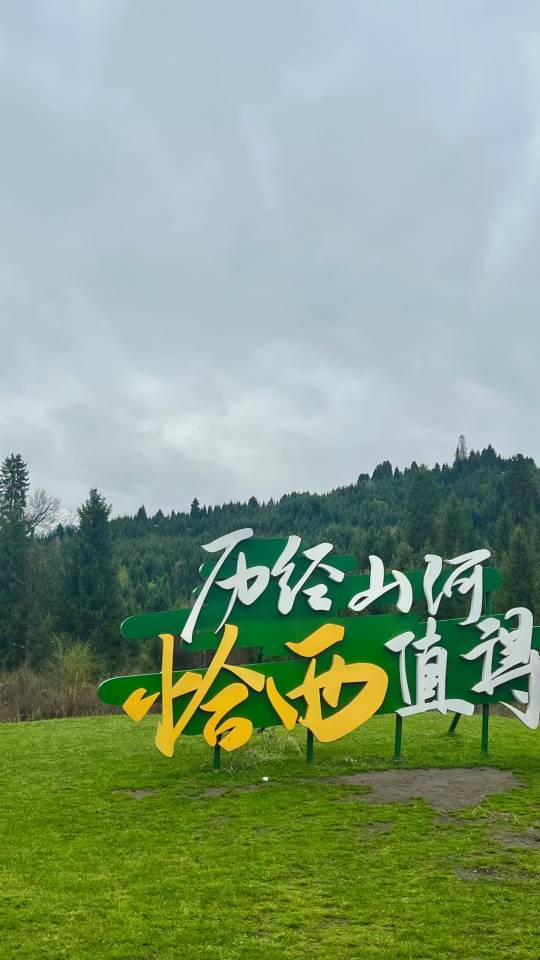 找搭子