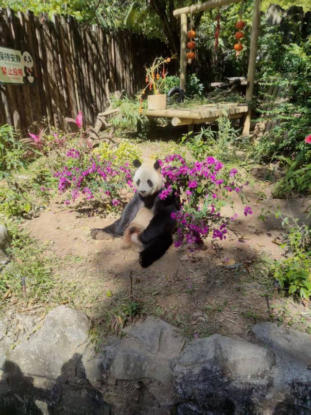 找搭子