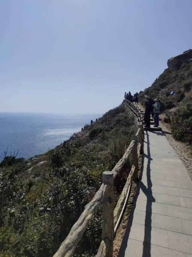 找搭子