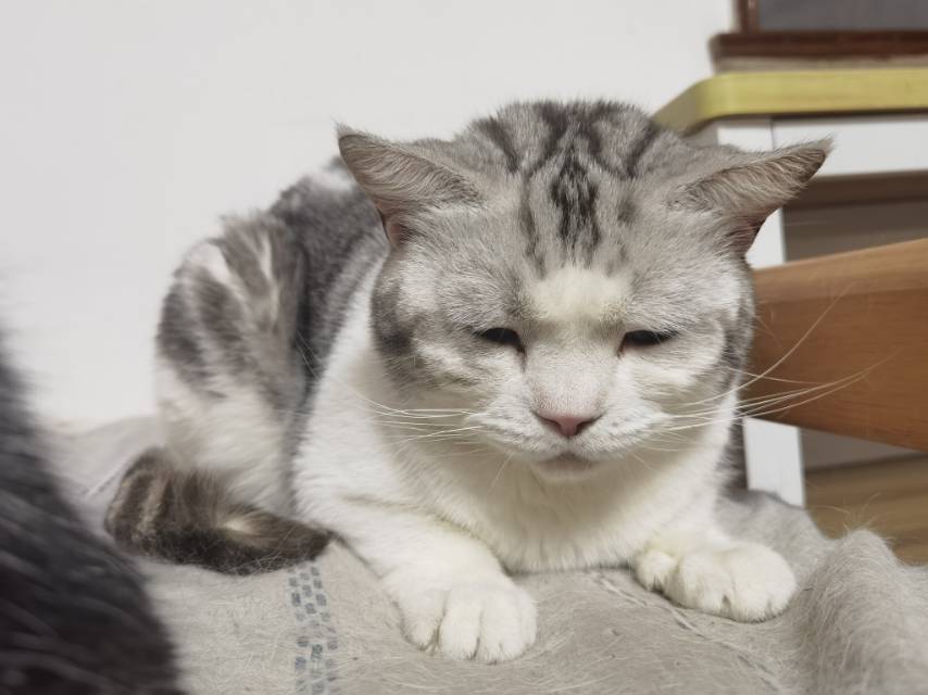 找搭子
