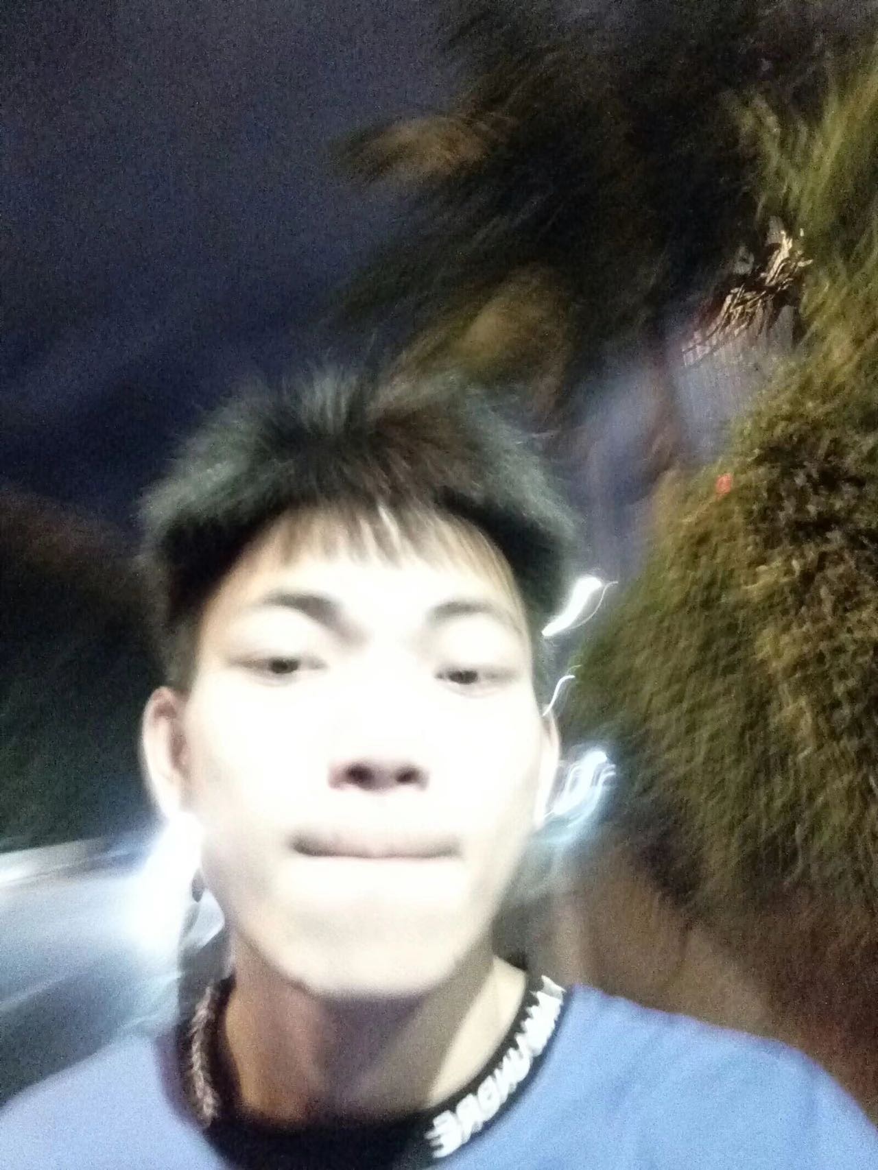 找搭子