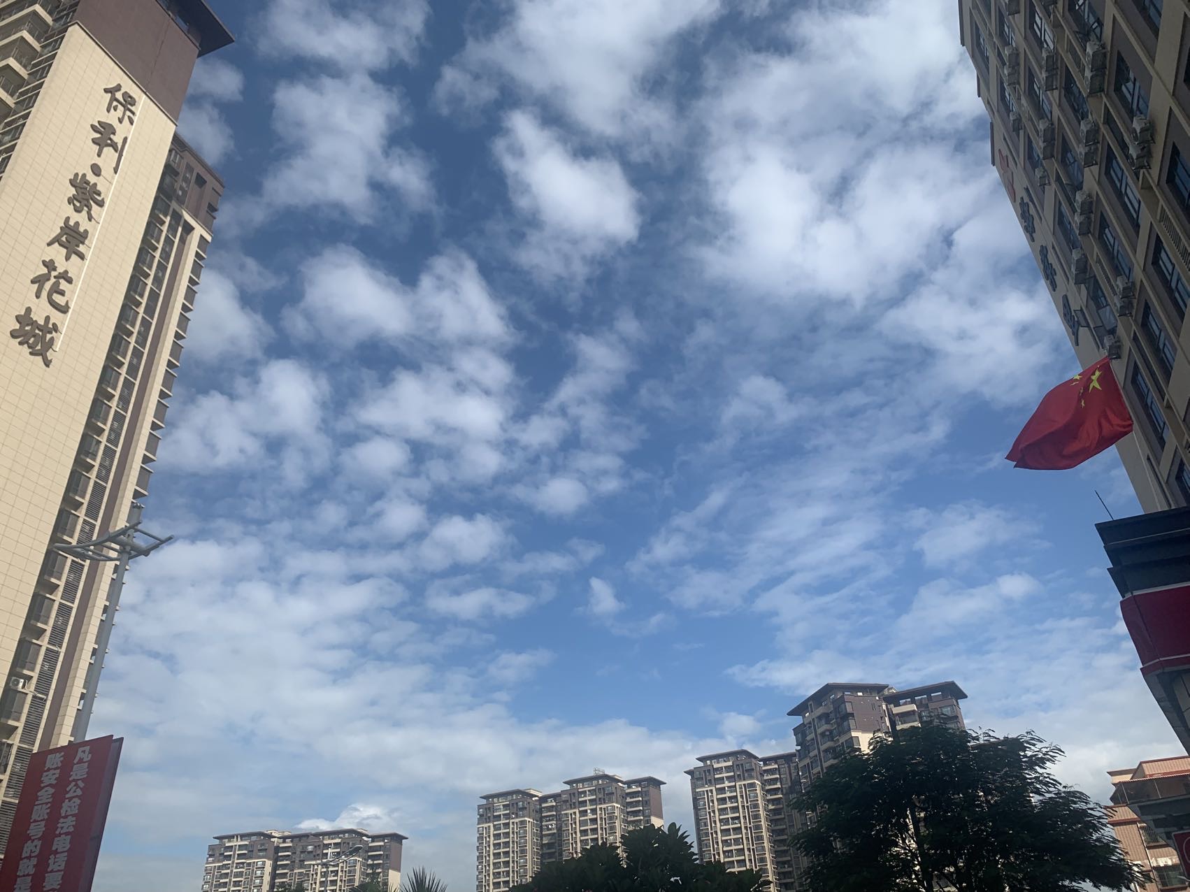 找搭子