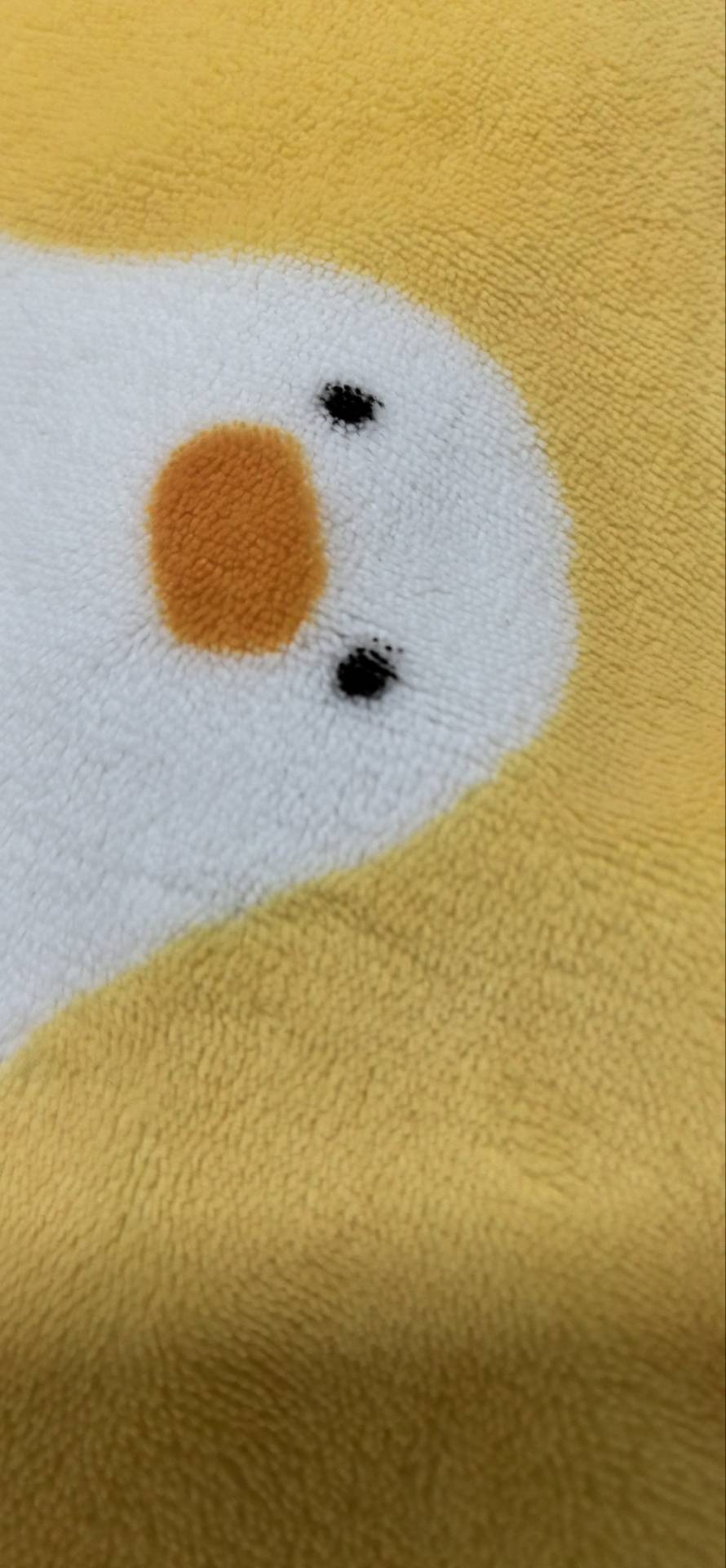 找搭子