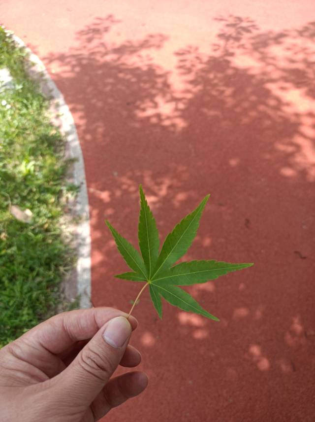 找搭子
