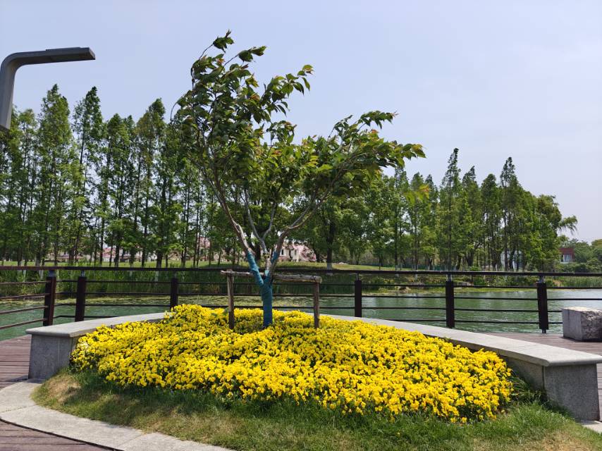 找搭子