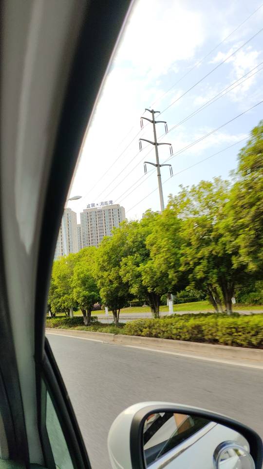 找搭子