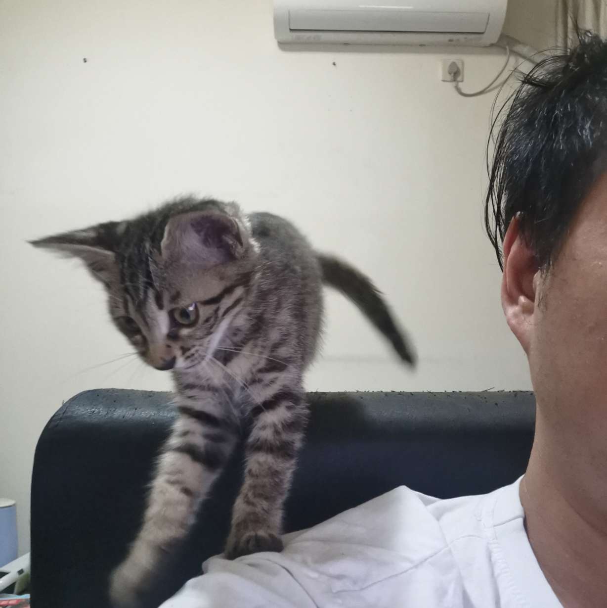 找搭子