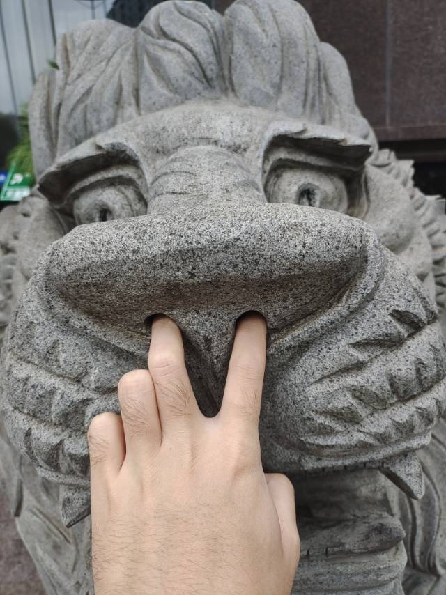 找搭子