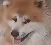 找搭子
